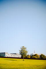 Fototapeta na wymiar field and sky with trees and berlin tower