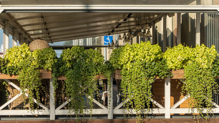 A street cafe decorated with green plants. Cafe terrace in European city Vases with green plants.