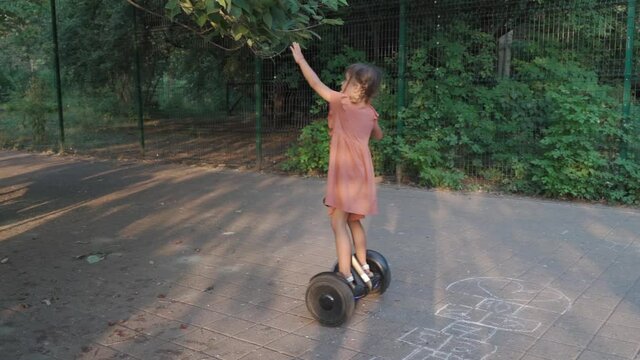 Kid little girl riding hoverboard Scooter in the park on the way. child controls the Self-balancing scooters in summer. new type of transport for children