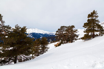 Fototapeta premium Panorama of the ski resort Arkhyz. Sunny day in Arkhyz ski resort. Winter mountains and forest.