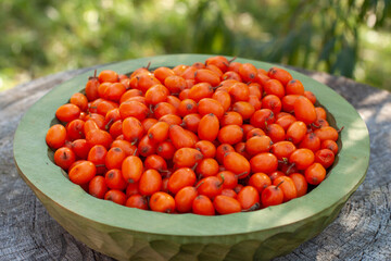 Ripe sea buckthorn berries in wooden bowl, closeup
