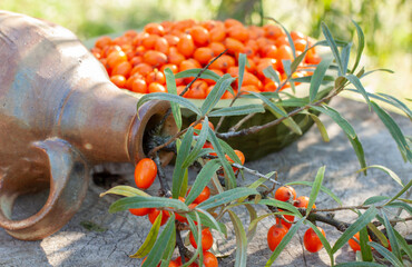 Ripe fresh orange buckthorn berries in wooden bowl, closeup
