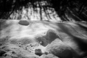 snow formations on road side. Black and white. Highlighted snow structure, shadows from trees, sunny winter evening, snow and ice covered ground