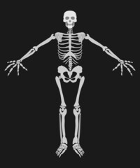 human skeleton on a dark background simple drawing