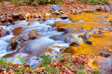 goldene Ilse im Harz in Sachsen-Anhalt