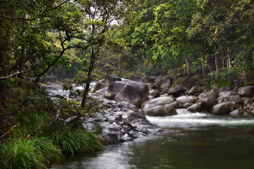 river in the rain forest, Australia