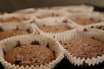 Fototapeta na wymiar chocolate chip muffins