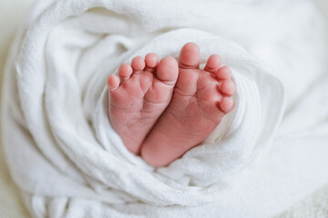 small feet of a newborn baby 