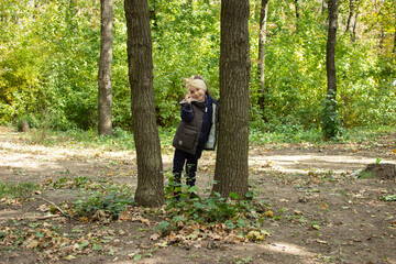 A little girl walks in the autumn forest. The child is alone in the forest. The child is lost