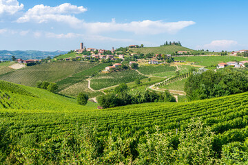 Beautiful hills and vineyards surrounding Barbaresco village in the Langhe region. Cuneo, Piedmont, Italy.