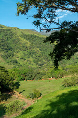 Fototapeta na wymiar Natural landscape on a summer afternoon. Tamesis, Antioquia, Colombia.