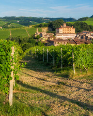 The beautiful village of Barolo and its vineyards on a summer afternoon, in the Langhe region of...