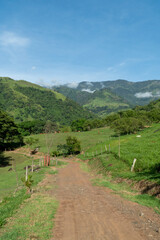 Fototapeta na wymiar Path with grass and trees with blue sky. Tamesis, Antioquia, Colombia. 