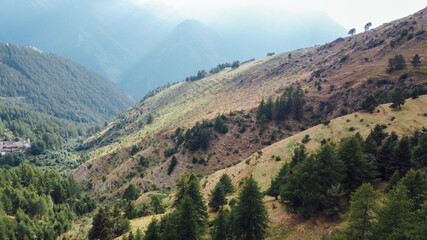 Fototapeta premium Aerial view of fields and coniferous trees in the mountains. Italian Alps.