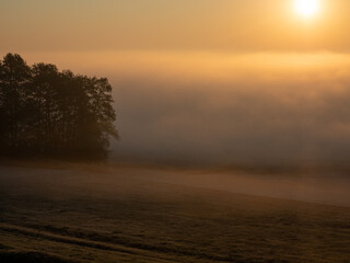 Landscape Poland