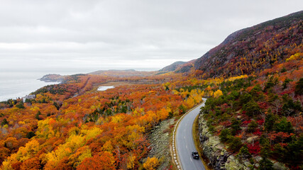 Aerial view of fall or autumn foliage in maine - drone view of coastline and road - orange and red leaves and foliage - mountains and hills - obrazy, fototapety, plakaty