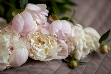 bouquet of pink and white peonies