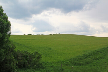 Fototapeta premium Węgierski krajobraz z łąki ze wzgórzem
