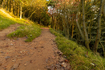 Mam Tor in National Park Peak District in Derbyshire UK, walking in footpath in autumn 2021.
