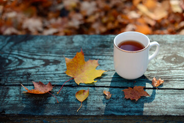 Tea in the fresh air on an autumn background. Autumn still life with a white mug with tea or coffee. Blurred autumn background, yellow, red and orange autumn dry maple leaves