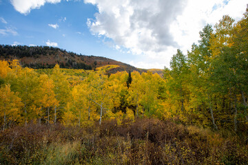 Fall colors in the mountains with blue sky