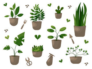 Home Plants Set Plant Tools Potted Flowers Leaves green flowers for home 