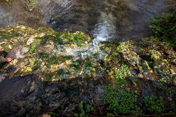 fresh water springs and fall colors with blue sky