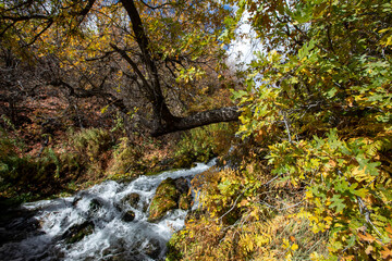 Obraz premium fresh water springs and fall colors with blue sky
