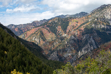 Naklejka premium fall colors in the mountains. utah