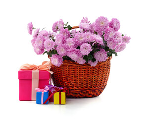Bouquet of beautiful chrysanthemums in a basket.