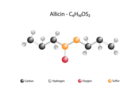 Molecular formula of allicin. Allicin is an organosulfur compound obtained from garlic, a species in the family Alliaceae.