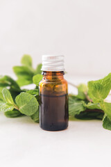 Bottle of mint essential oil on light background