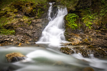 Fototapeta na wymiar water flowing in the forest, long exposure, austrian alps, salzburg, river, austria