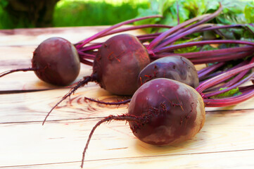 Fresh beetroots (red beet) with green leaves on wooden table.