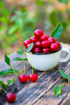 on a dark background cherry appetizing lies. High quality photo