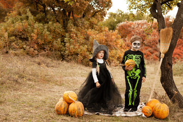 boy and girl dressed as a witch and a skeleton with pumpkins in nature in warm orange colors