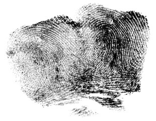 Two black fingerprints isolated on a white background, top view. Forensic science.