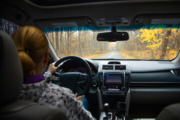 Fototapeta premium woman driving a car on an autumn road at forest. Close-up of hands on a steering wheel. view from the driver's back. view from the car