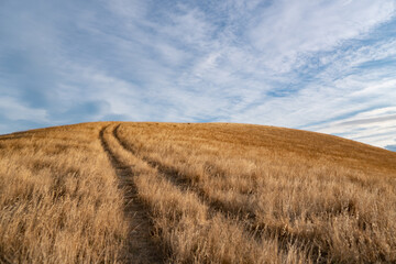 Golden sunset over Kaikoura Peninsula Walkway, Canterbury, New Zealand