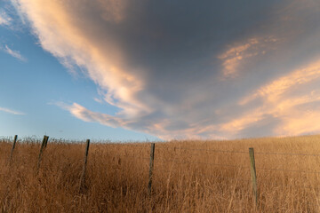 Golden sunset over Kaikoura Peninsula Walkway, Canterbury, New Zealand