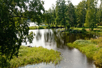 lake in the park