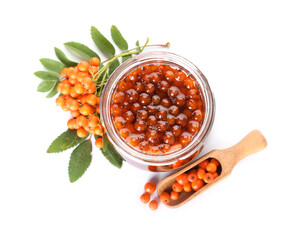 Jar of tasty rowan jam isolated on white background