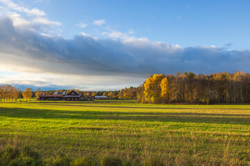 Obraz premium Gorgeous colorful fall landscape view. Yellow field and trees on blue cloudy sky background. Sweden. 