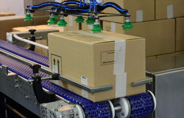Conveyor for automatic packaging of parcels