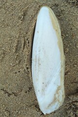 surf board on sand