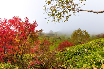 紅葉の北アルプス焼岳登山