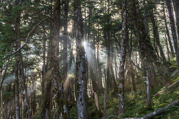 麦草峠トレッキング