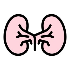 Kid kidney icon. Outline kid kidney vector icon color flat isolated