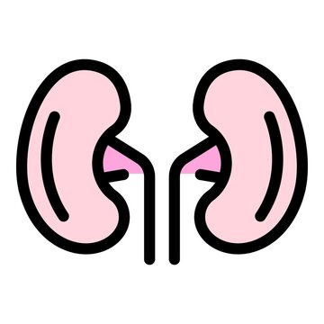 recommend clip art: Pain kidney icon. Outline pain kidney vector icon color flat isolated