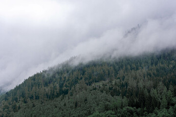 Foggy landscape over Bavarian forest, Germany
